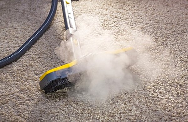 Residential carpet cleaning in Fishers, IN